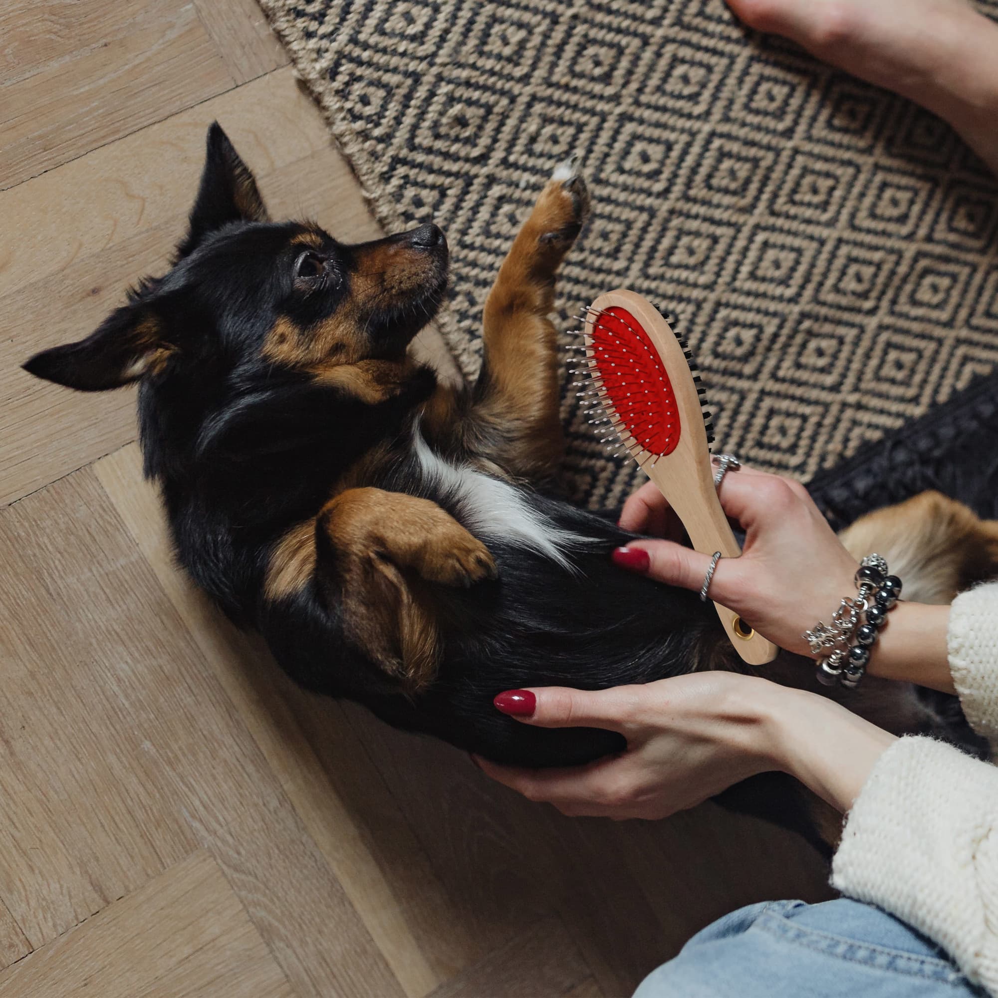 Pin and Bristle Pet Brush