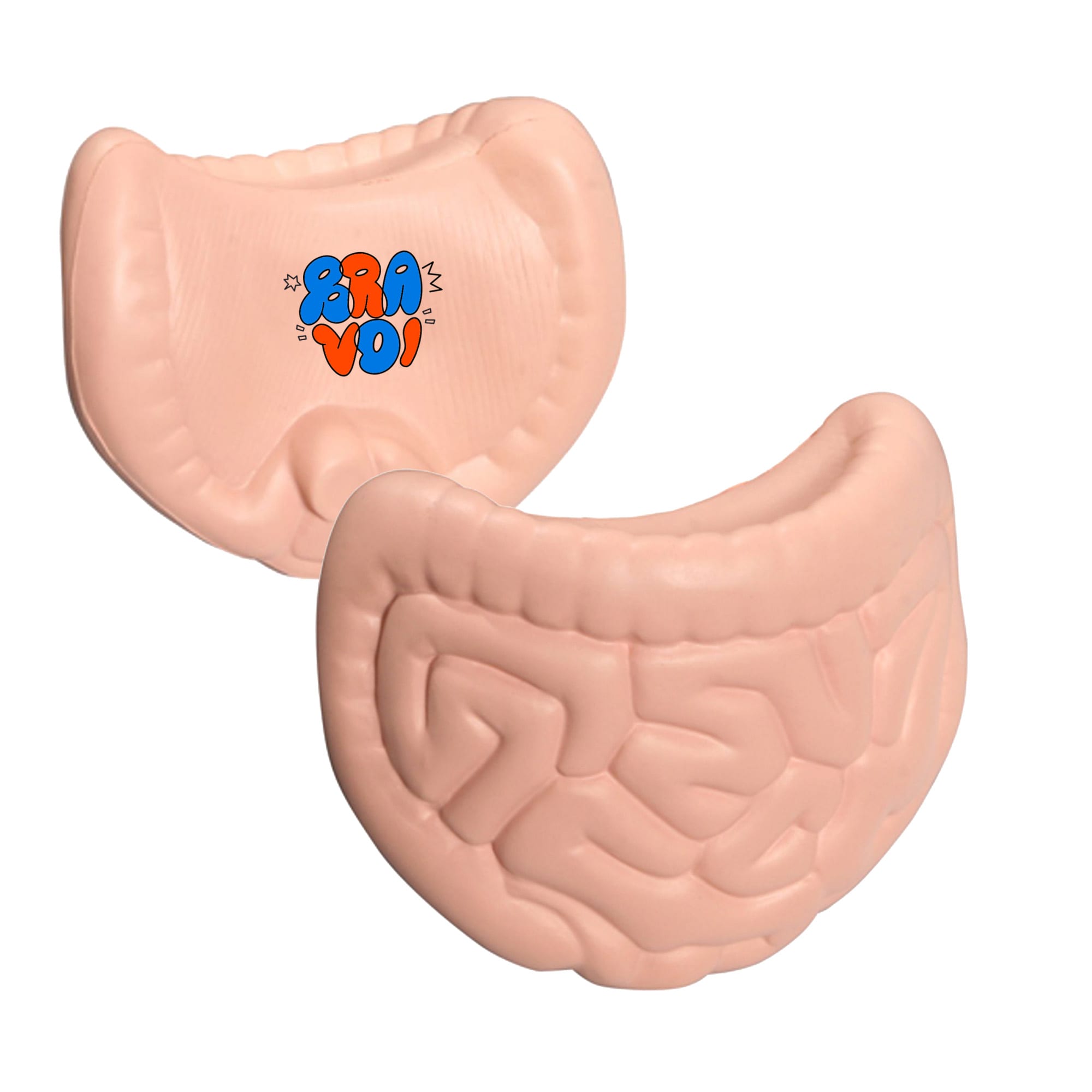 Intestines Shape Stress Reliever