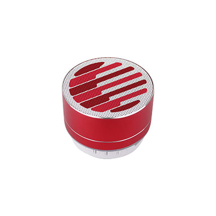 Metal Fashion Bluetooth Speaker