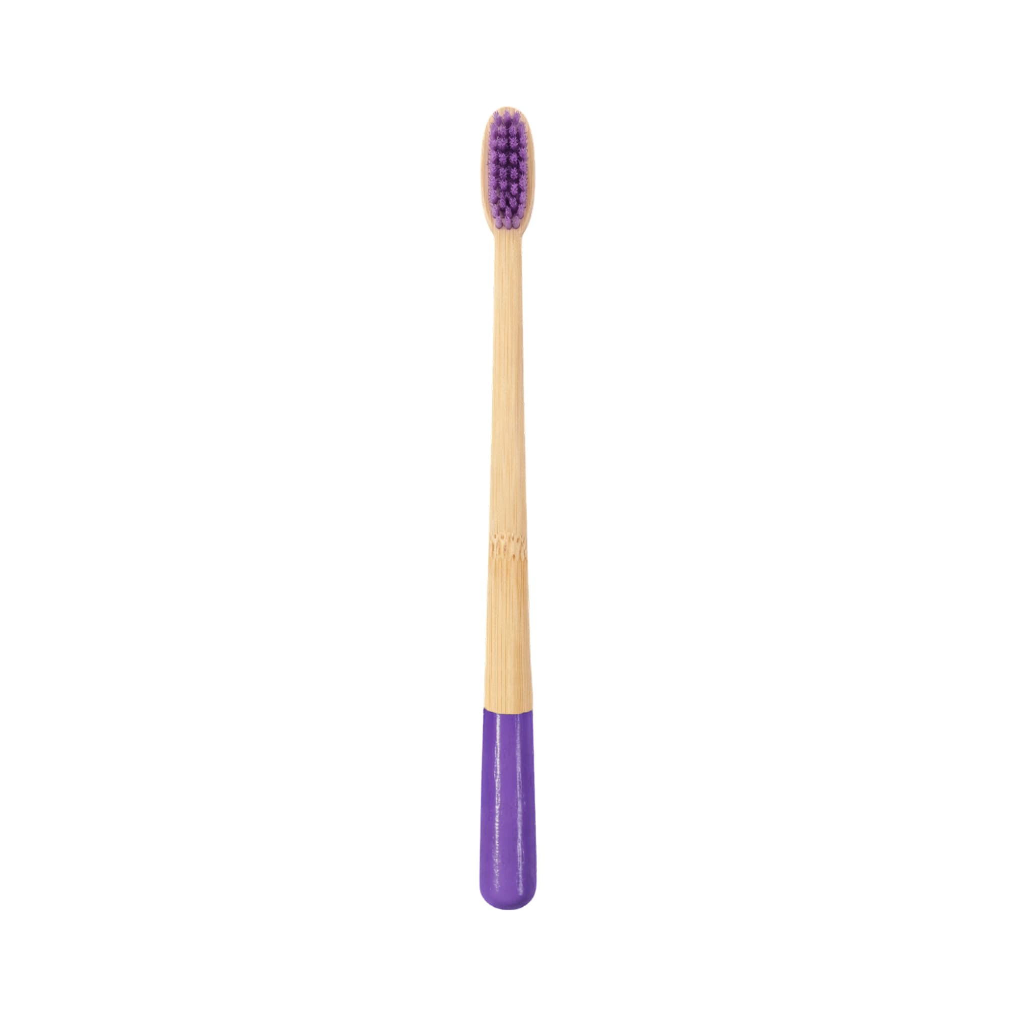 Large Conical Handle Colorful Toothbrush