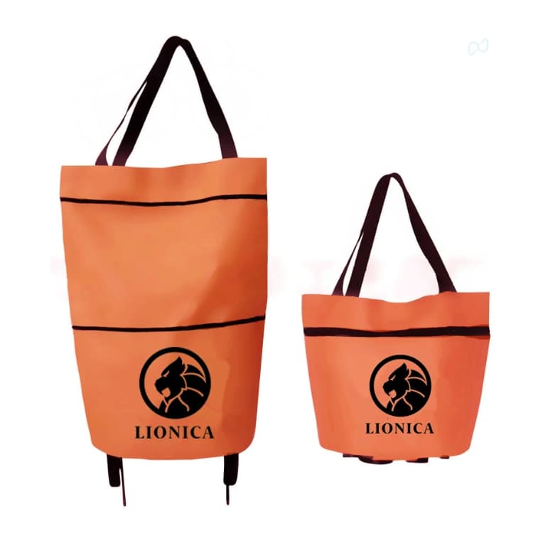 2 in 1 Collapsible Shopping Trolley Bag