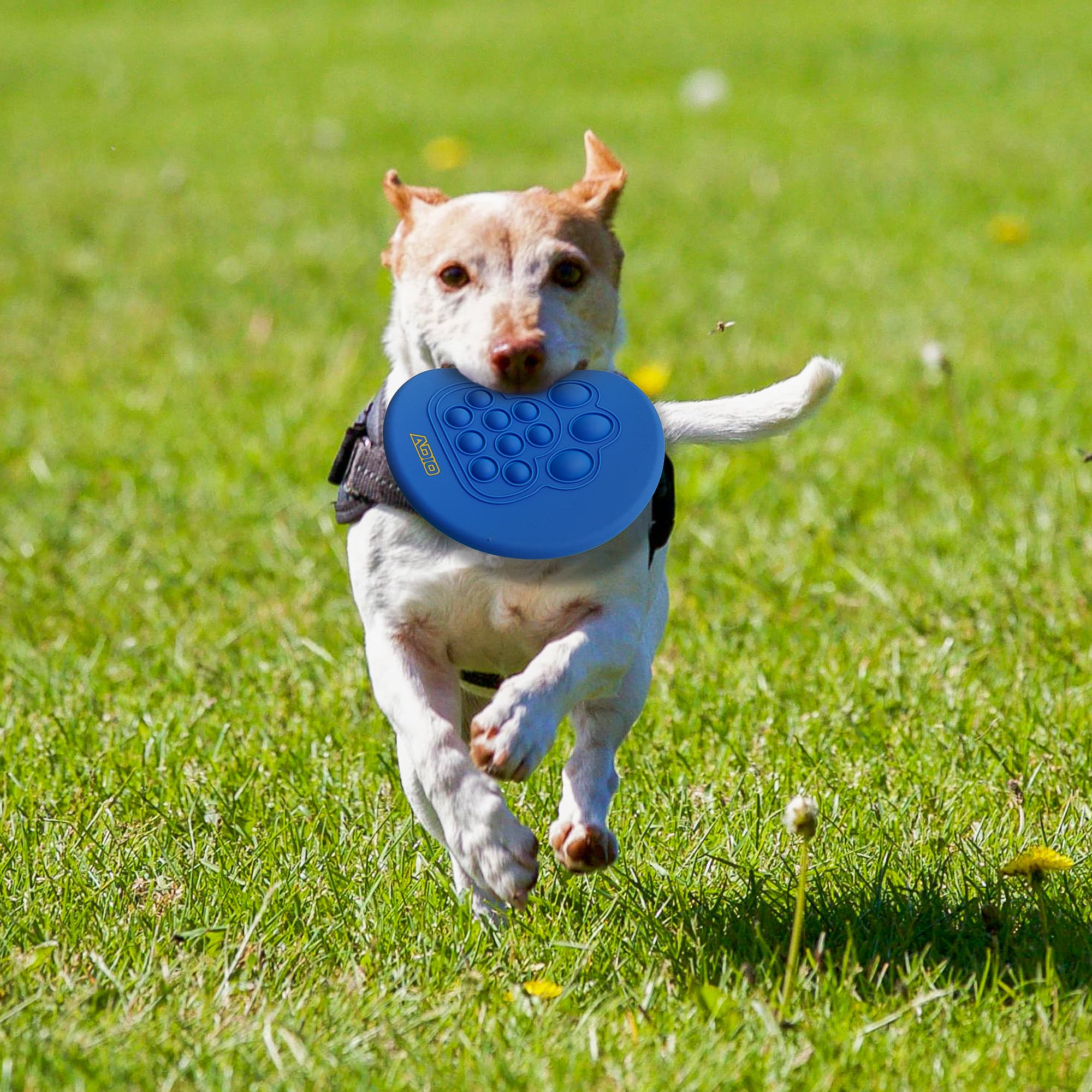 Pop fidget frisbee