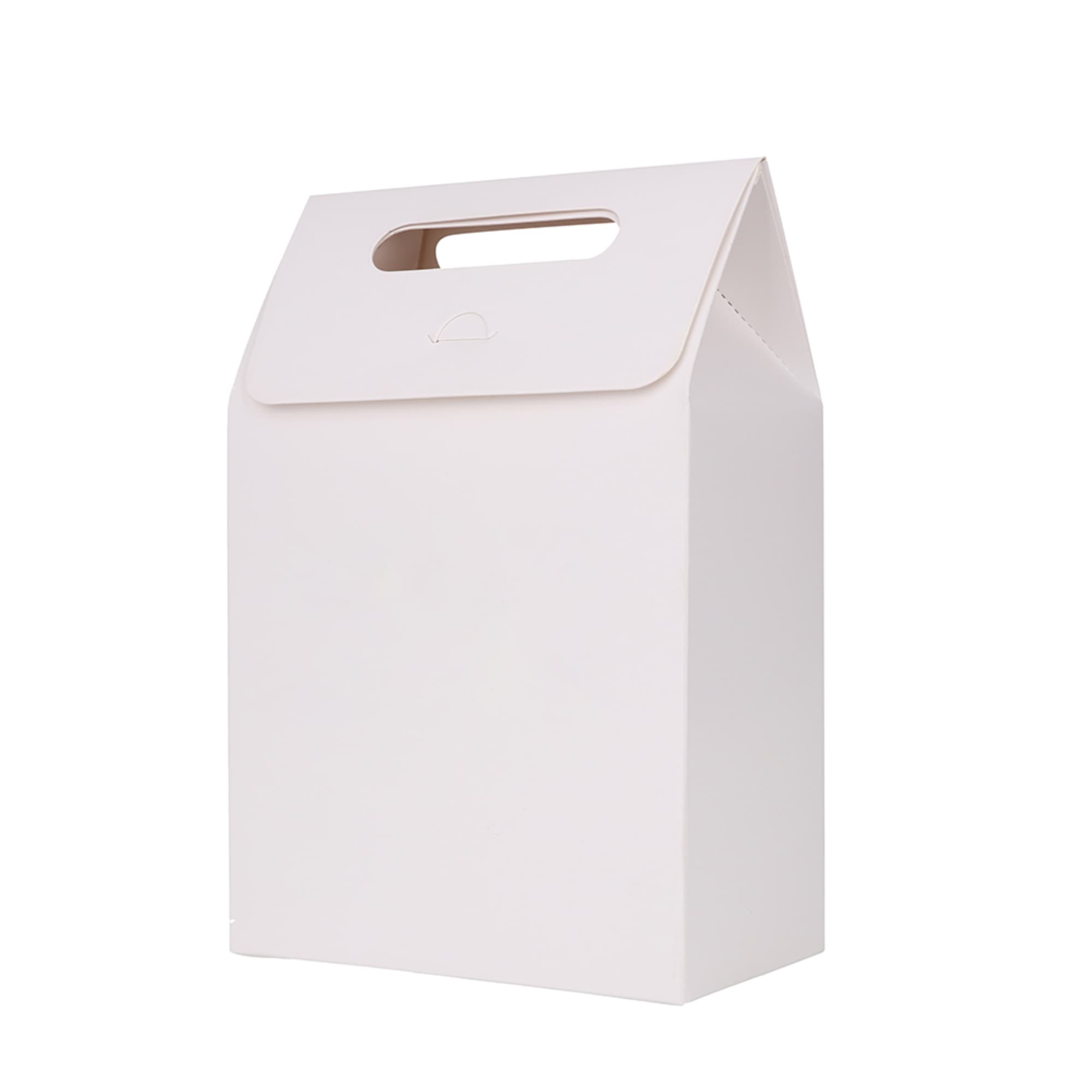 Die cut Handle Bag(100x160x60mm)