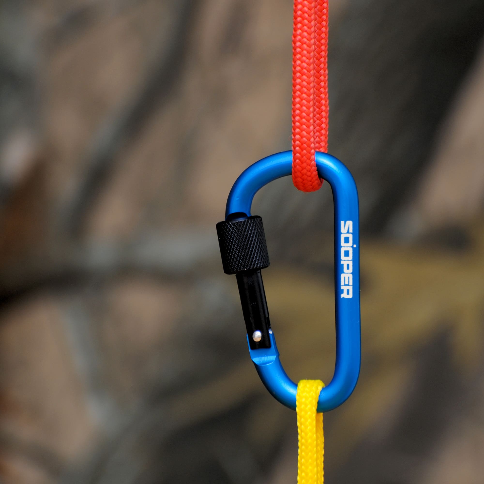 D-Shaped Screw Lock Keychain
