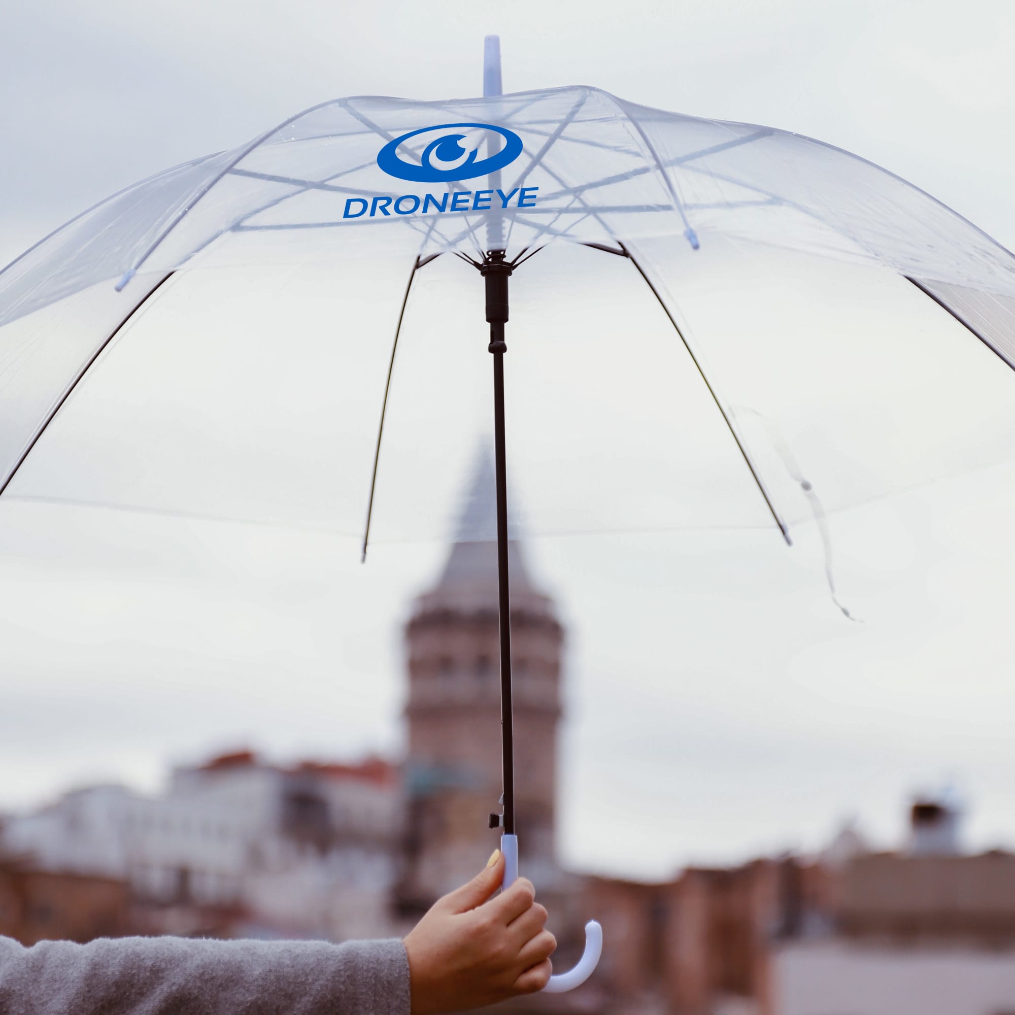 Transparent Eight-Panel Umbrella