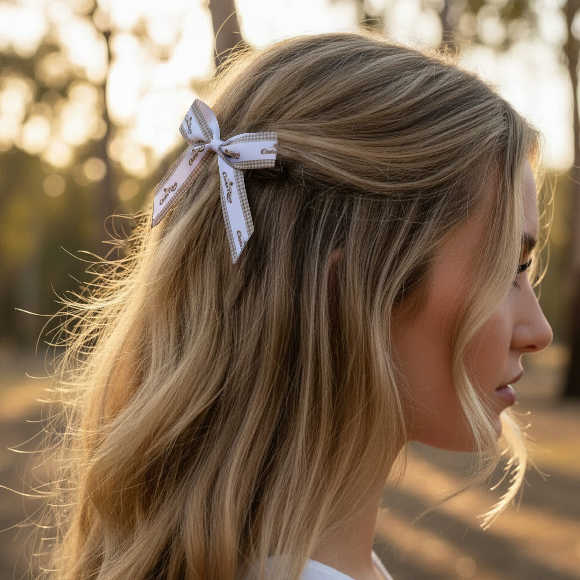 Hair Clip Bows