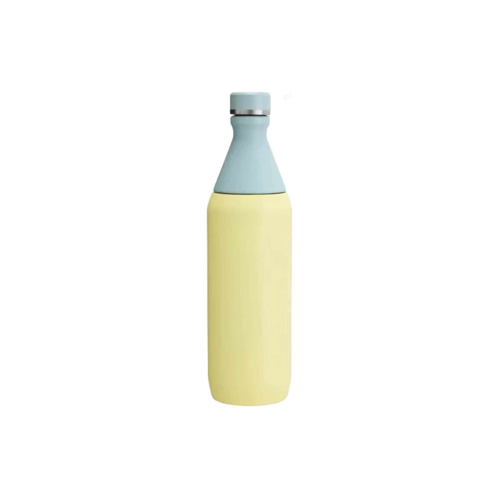 600ML Stainless Steel 2 in 1 Double Wall Slim Bottle