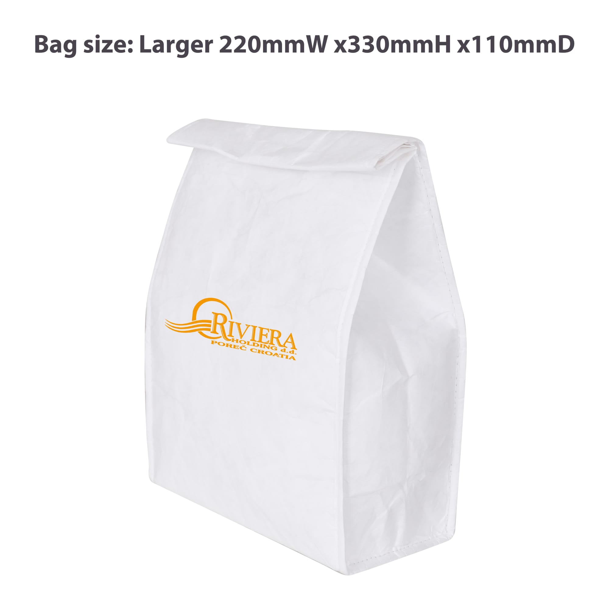 Larger Tyvek Cooler Lunch Bag(220x330x110mm)