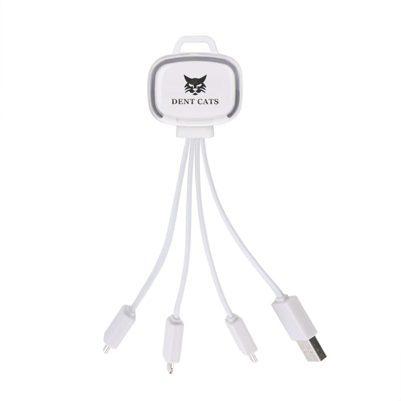LED Charging Cable with Multiple Connectors