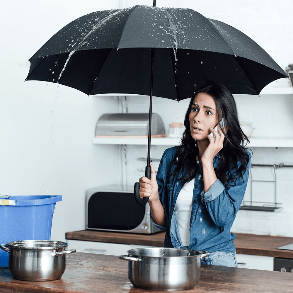 Auto Open Colourised Fashion Umbrella