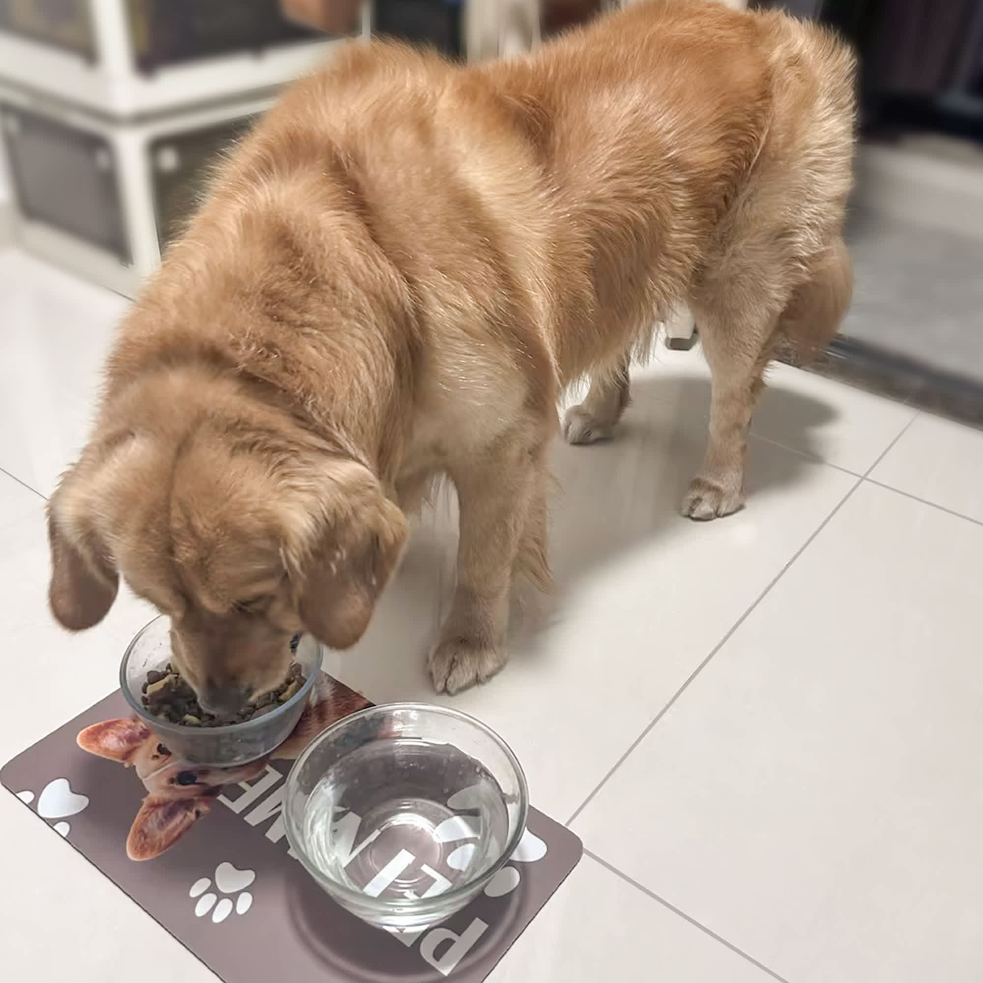 Pet Feeding Mat