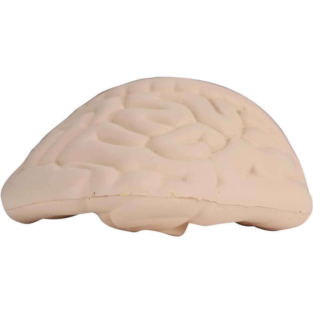 Intestines Shape Stress Reliever