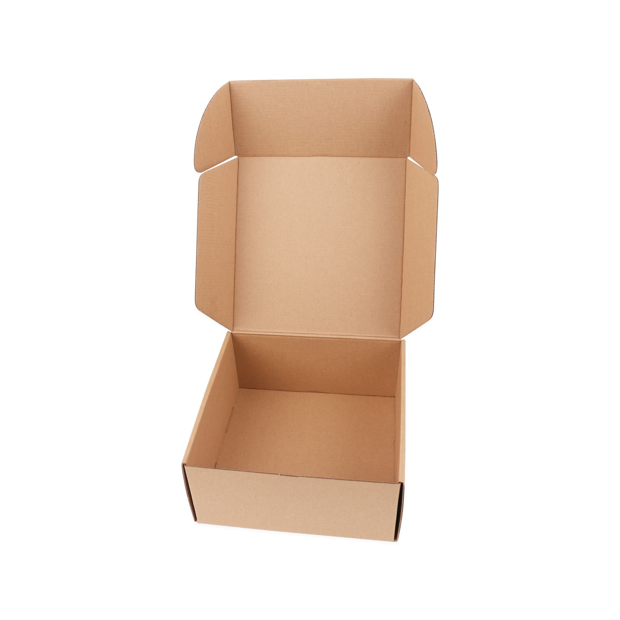 Large Shipper Box
