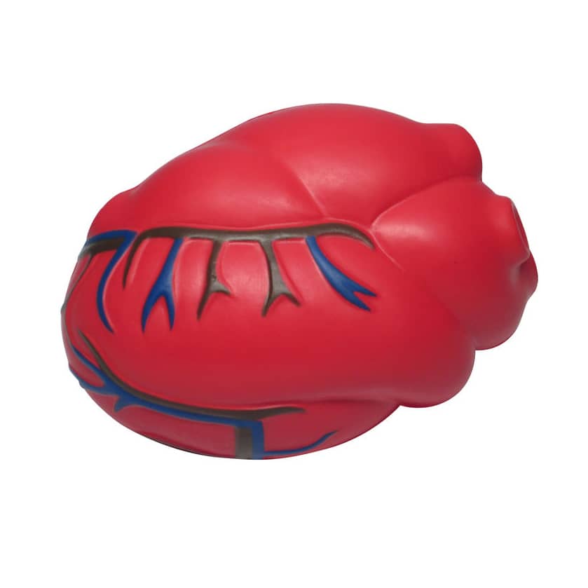 Cardiac Shape Stress Reliever