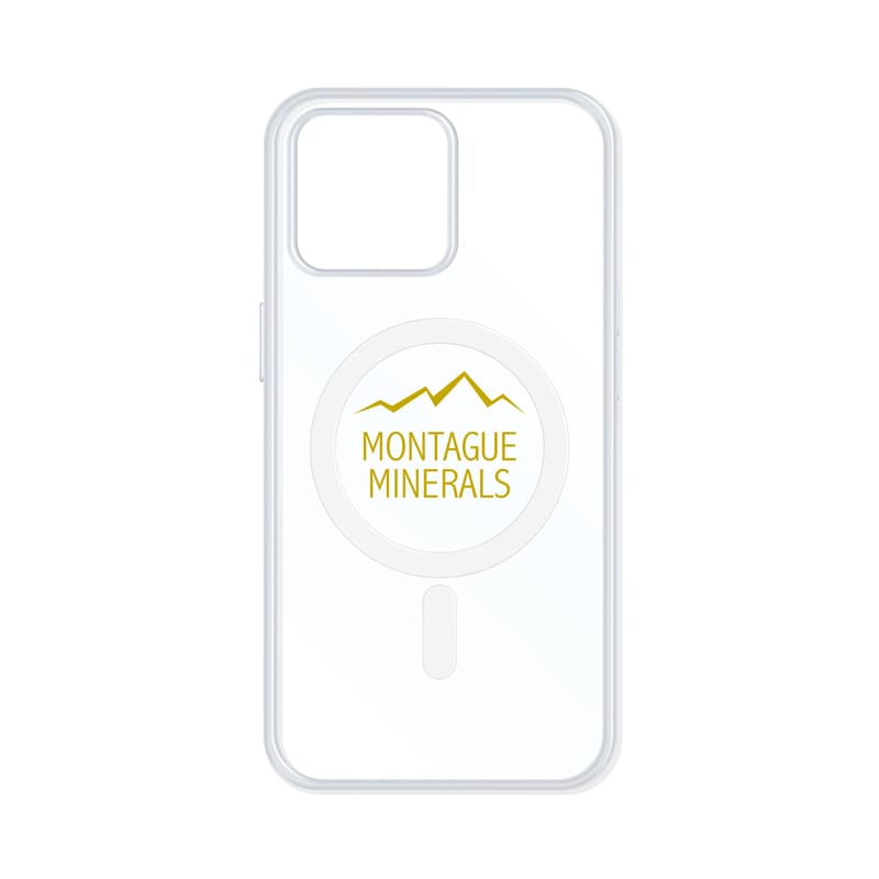 Troy Magsafe iPhone Case
