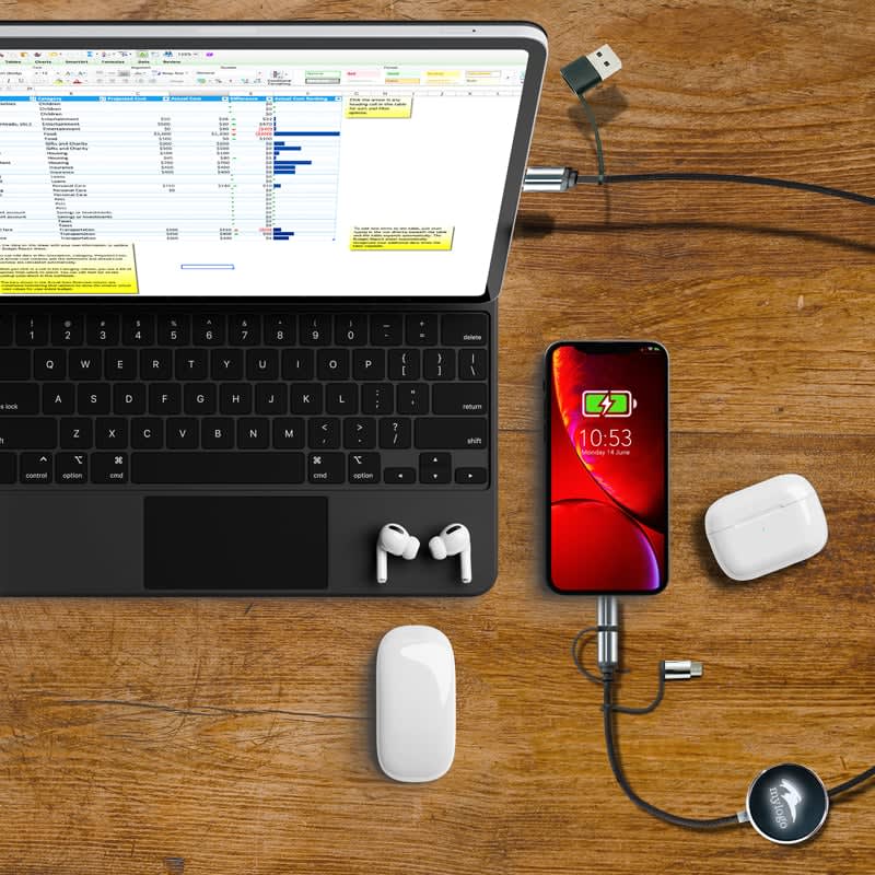 Novara 60W Fast Charge and Data Sync LED Cable