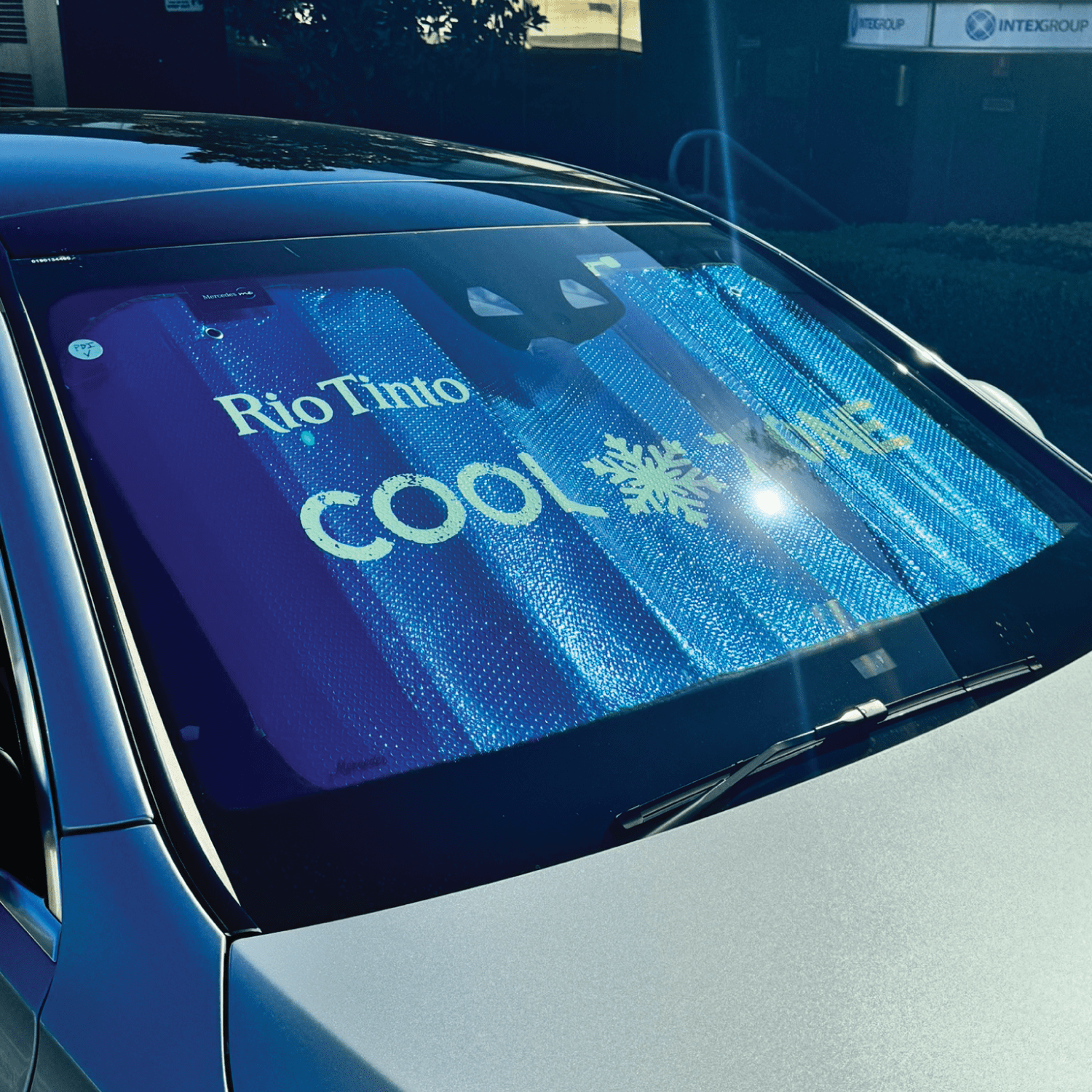 Shadex Foldable Car Sunshade