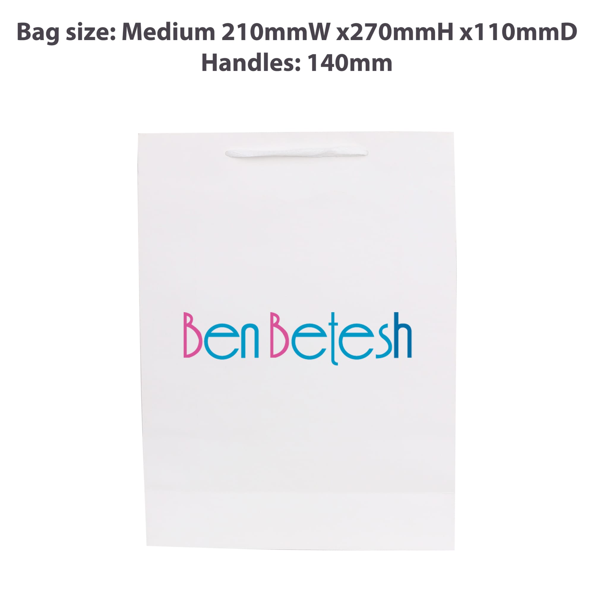 Medium Vertical Paper Bag with Fabric Flat Handle(210 x 270 x 110mm)