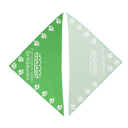 Triangle Pet Bandana