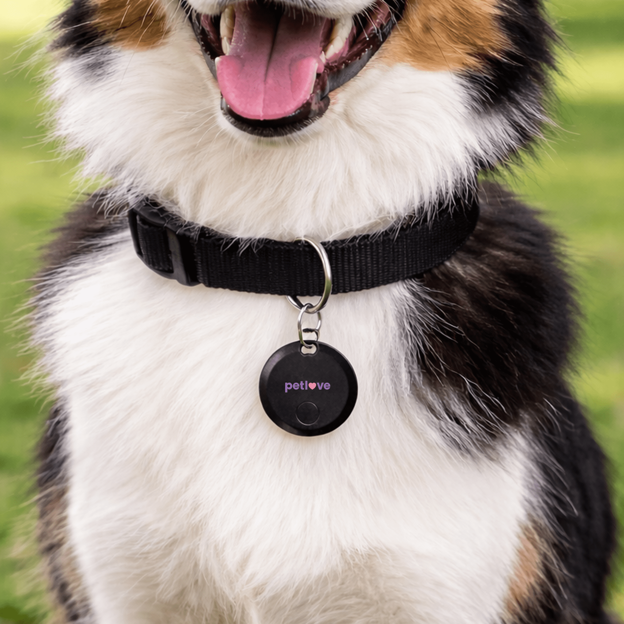 SeekTag Factory Direct - Black