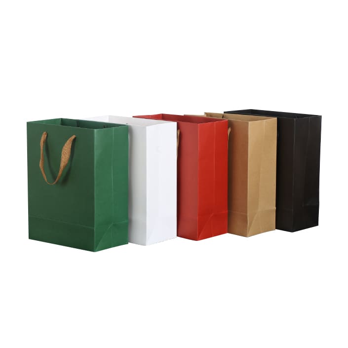 Medium Vertical Paper Bag with Fabric Flat Handle(210 x 270 x 110mm)