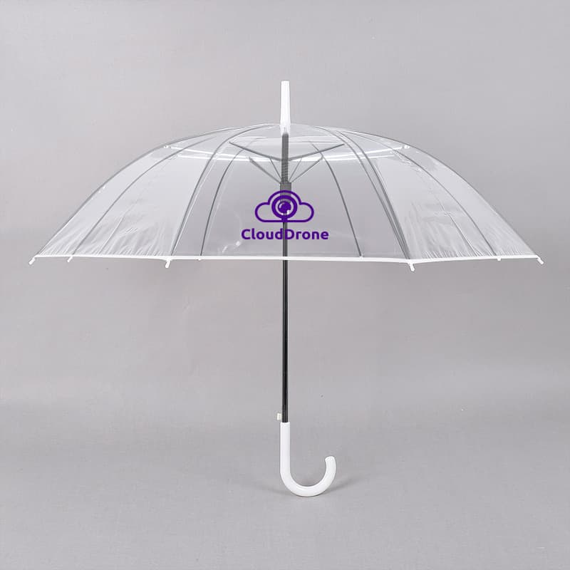 Transparent Eight-Panel Umbrella