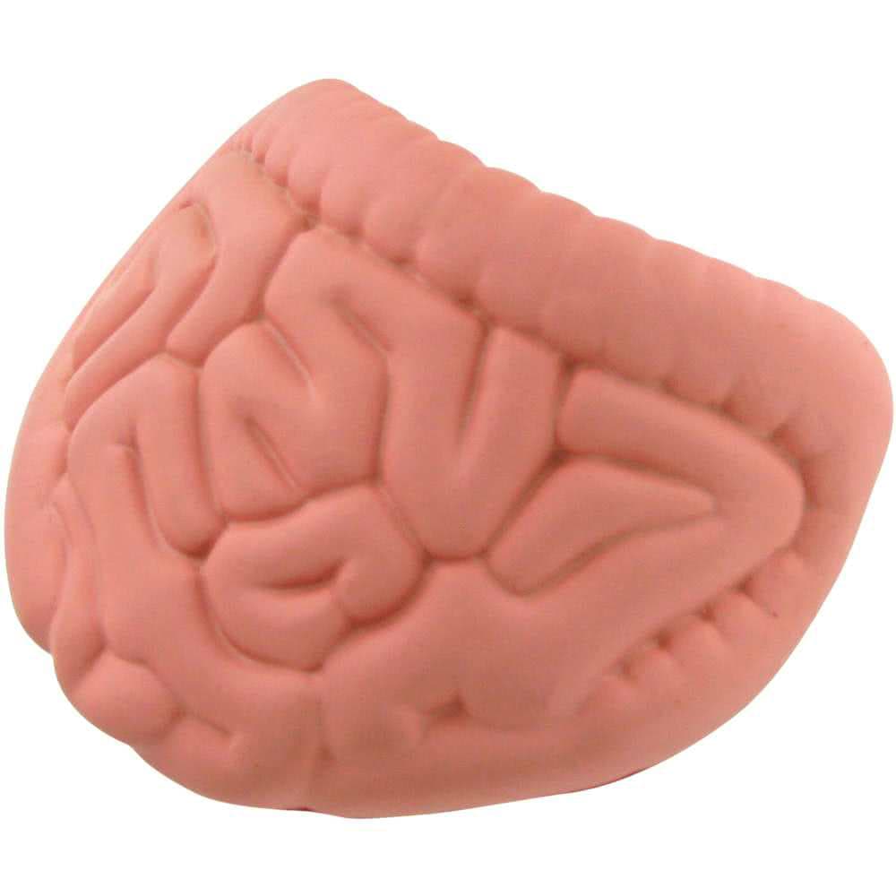 Intestines Shape Stress Reliever