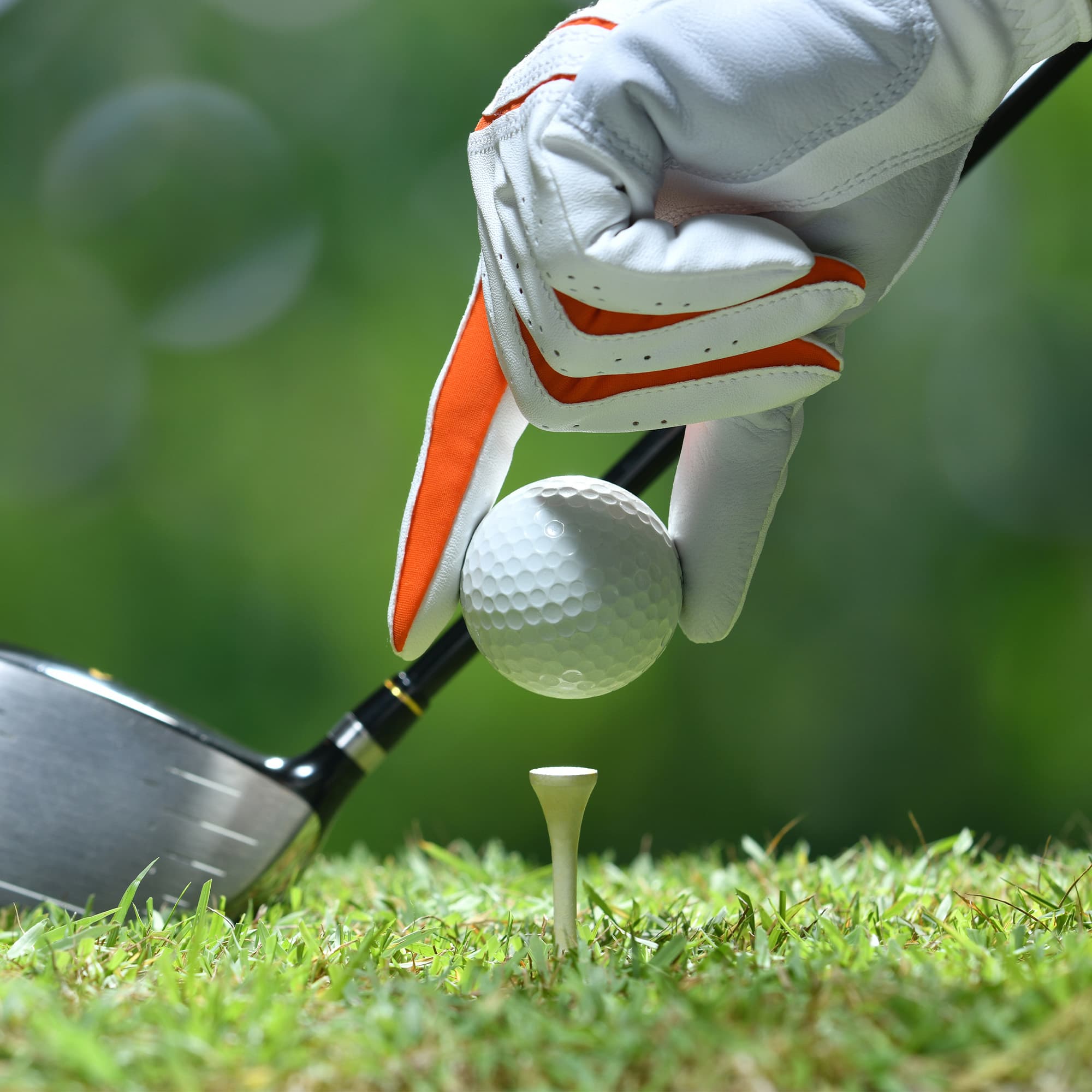 Bamboo Golf Tee