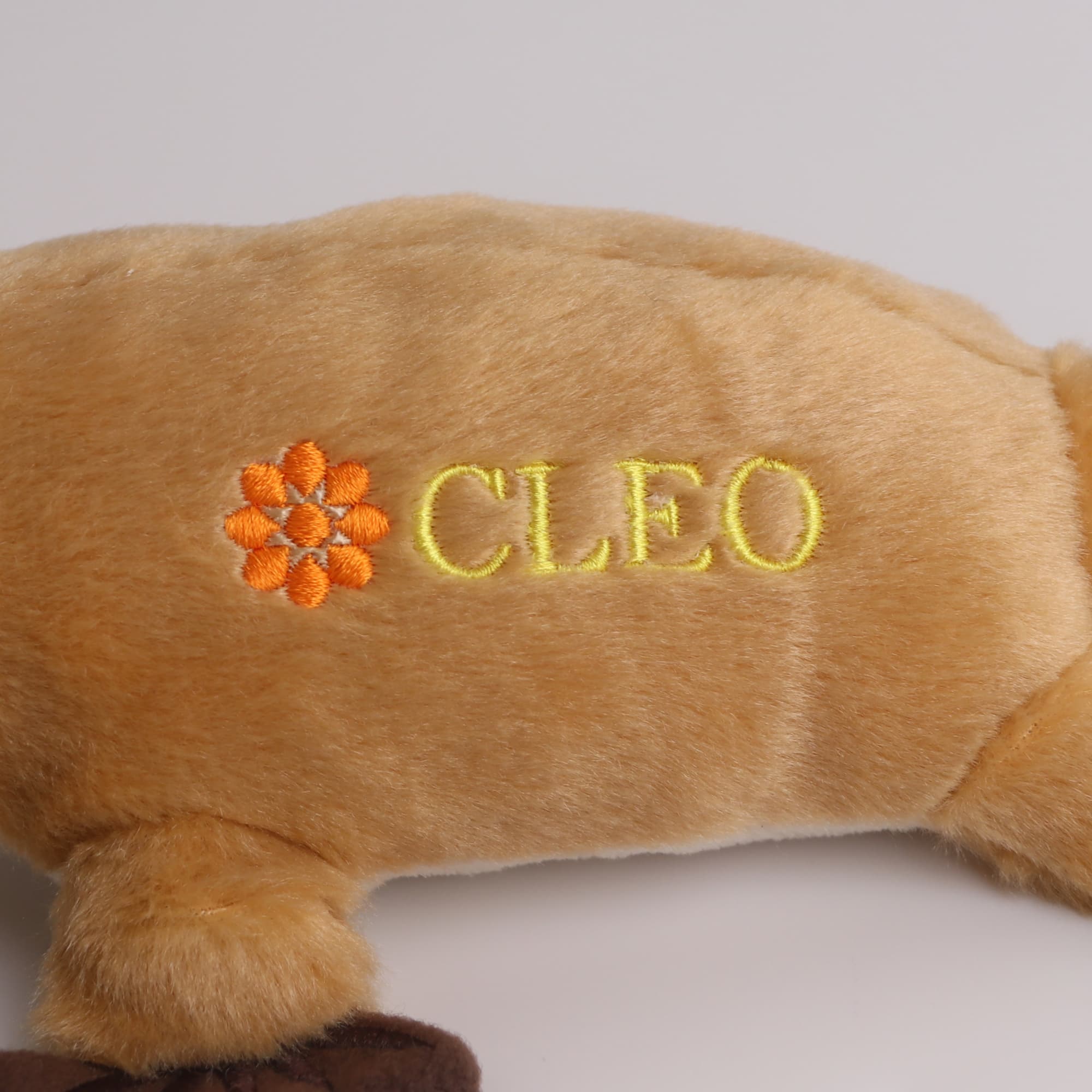 Custom Platypus Plush Toy