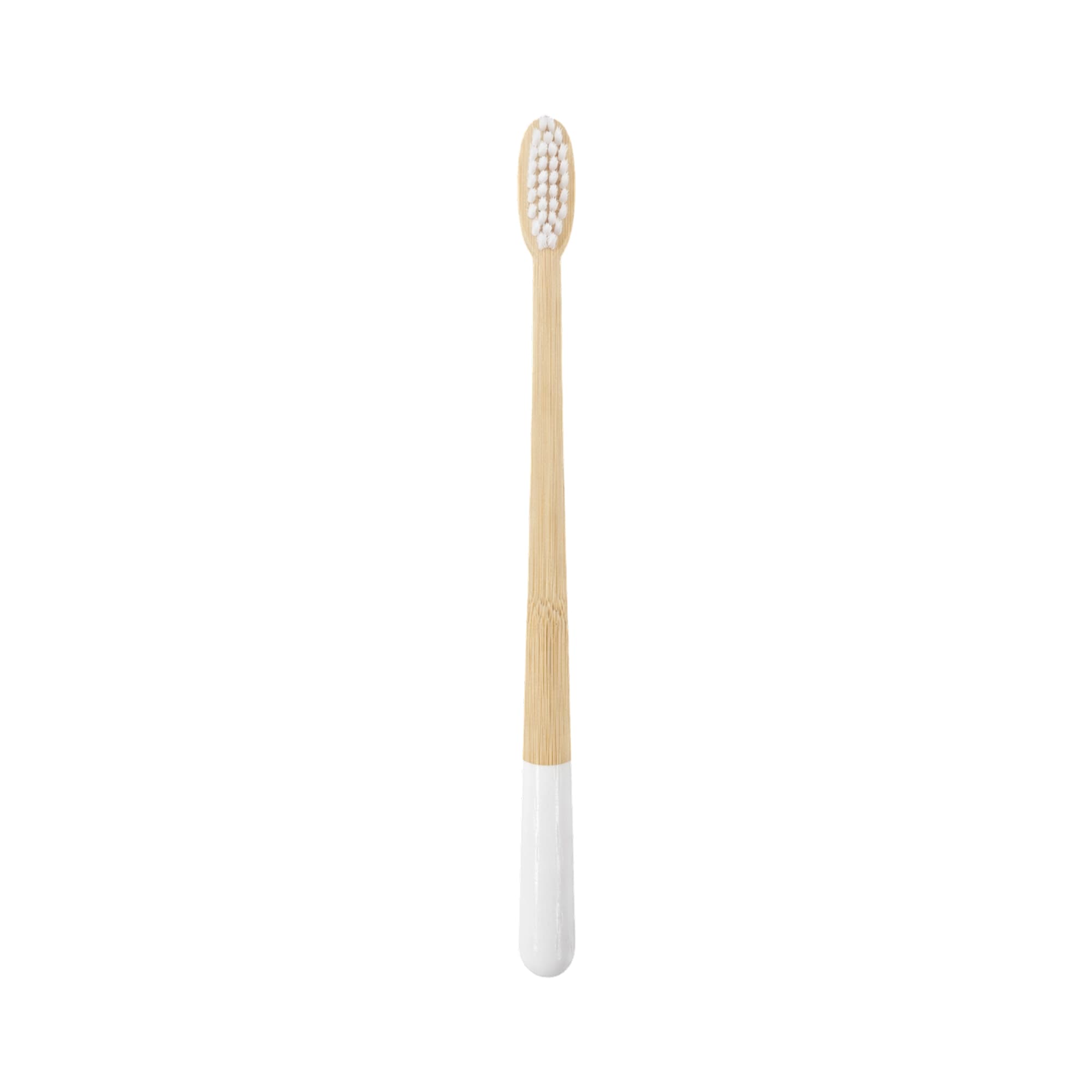 Large Conical Handle Colorful Toothbrush