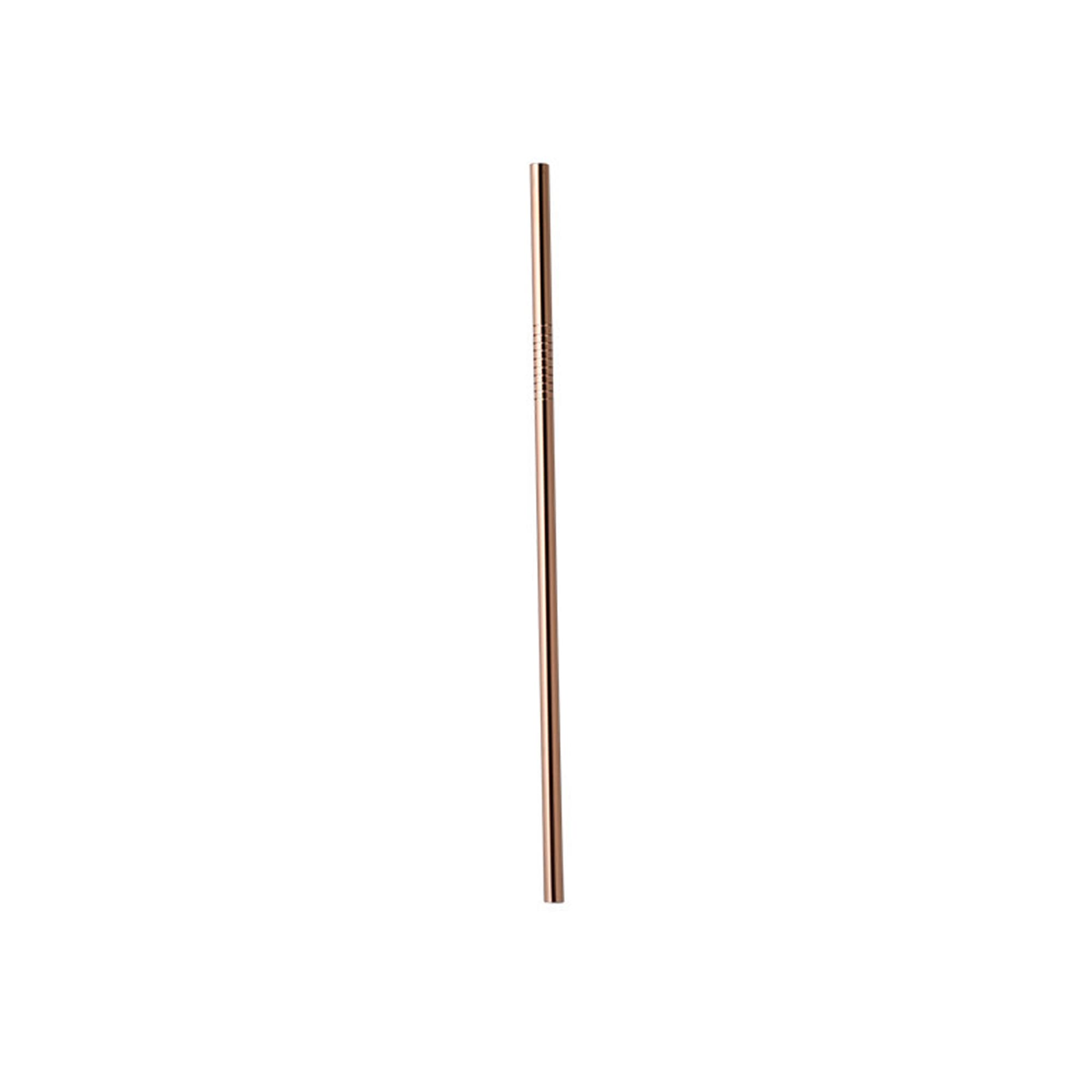 Stainless Steel Straw