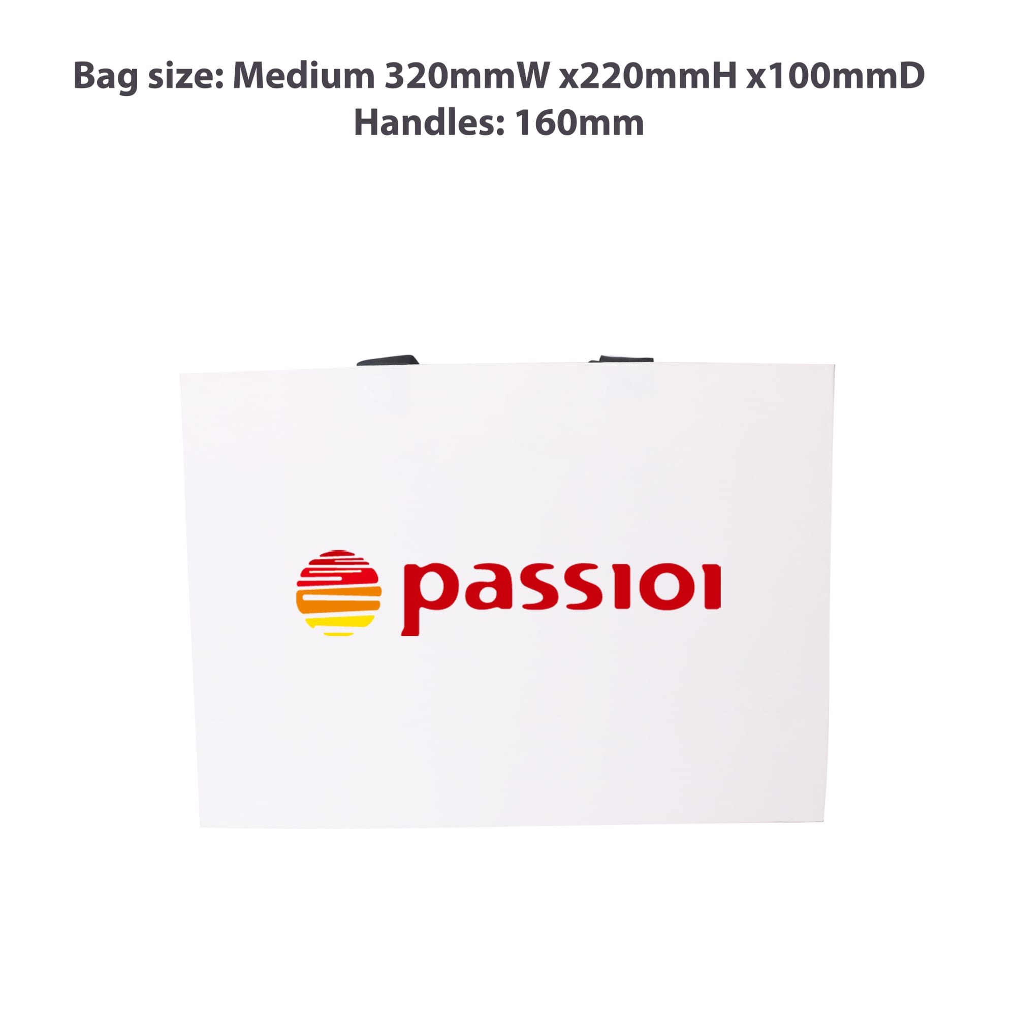 Medium Paper Bag with Flat Handle(320 x 220 x 100mm)