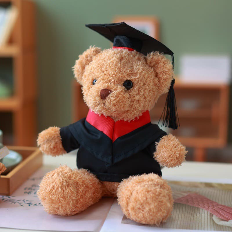 Custom Graduation Plush Toy