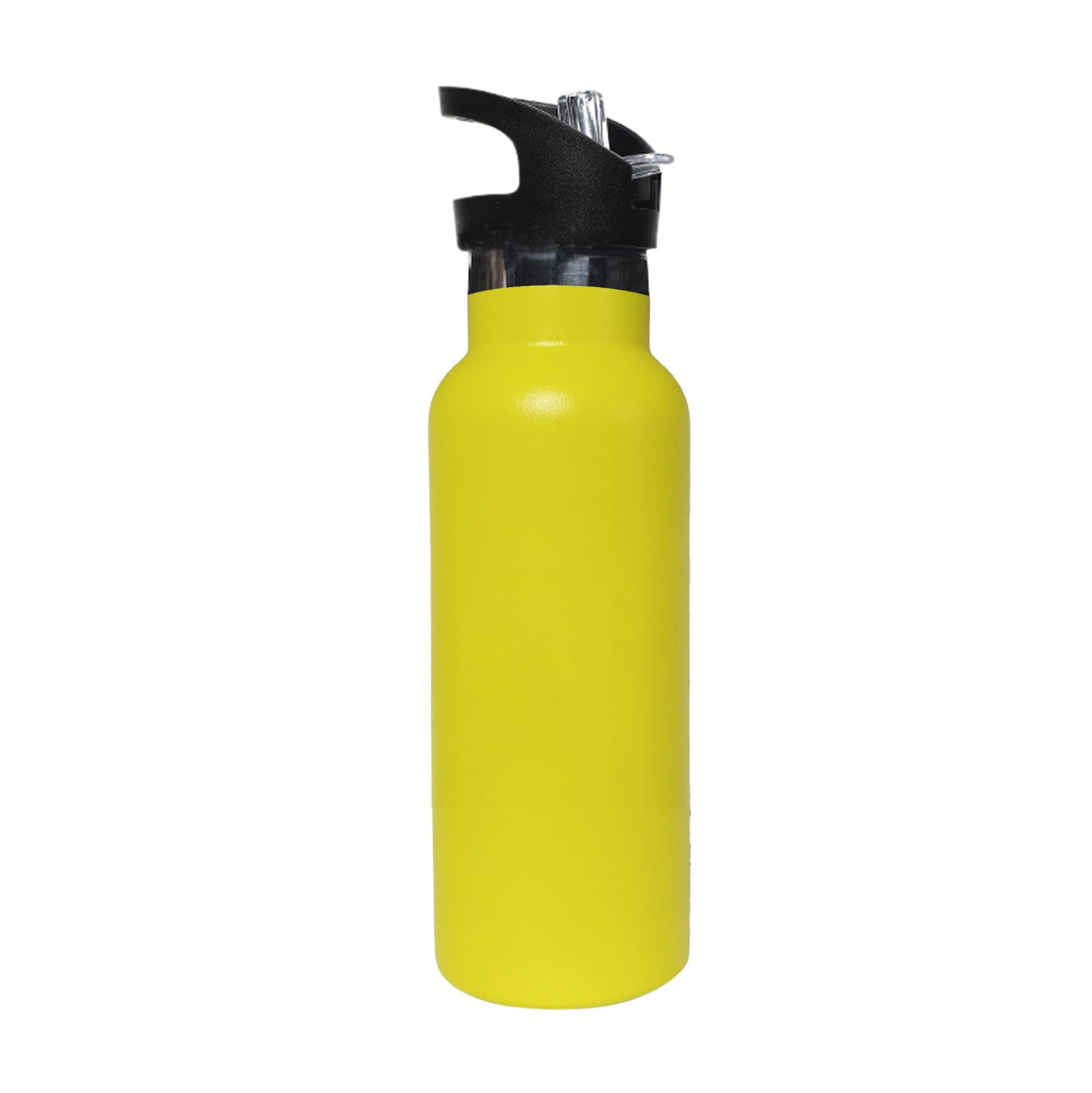 500ml Double Wall Vacuum Bottle with Flip Valve Lid