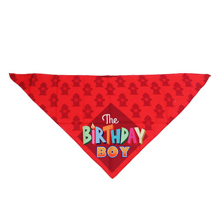 Triangle Pet Bandana