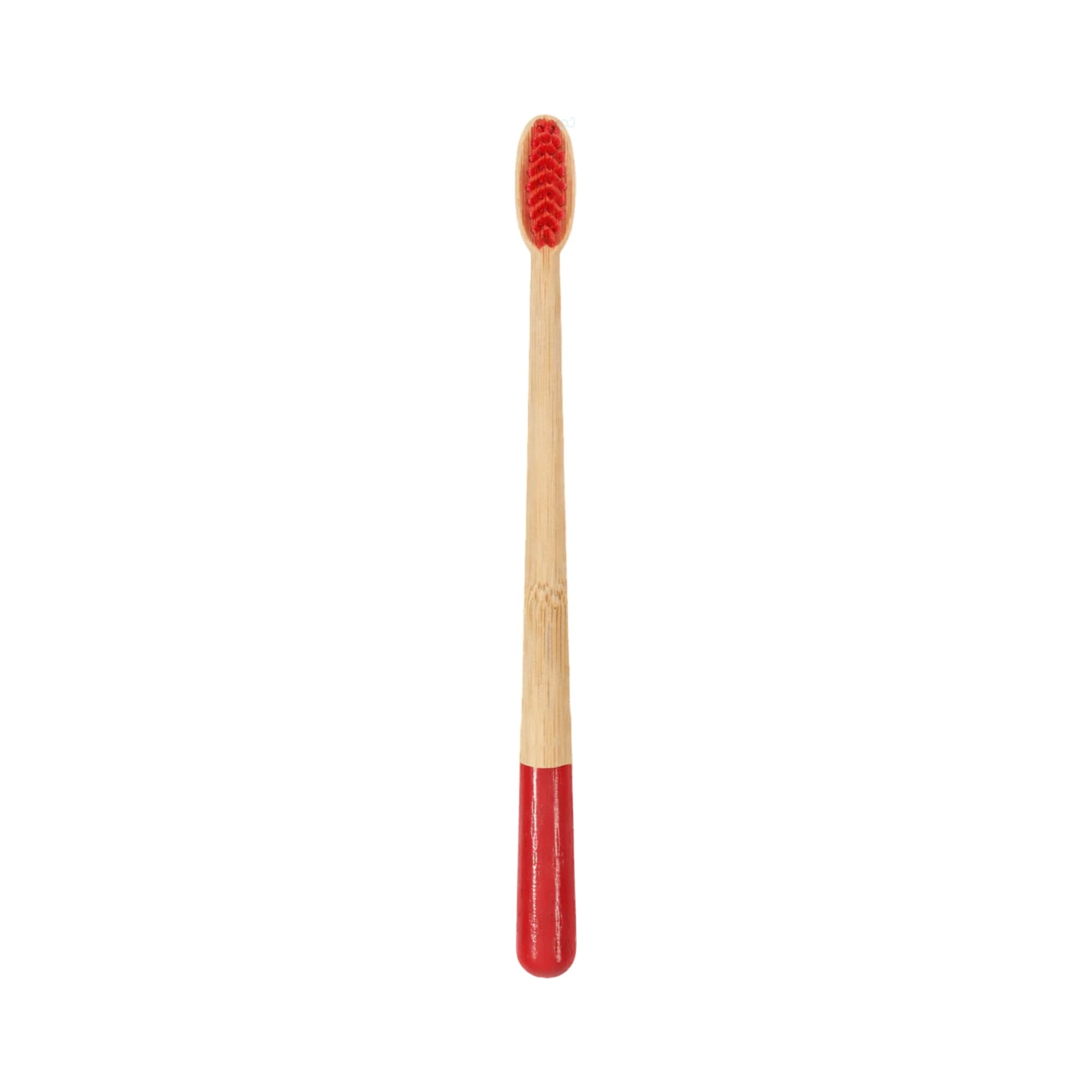 Large Conical Handle Colorful Toothbrush