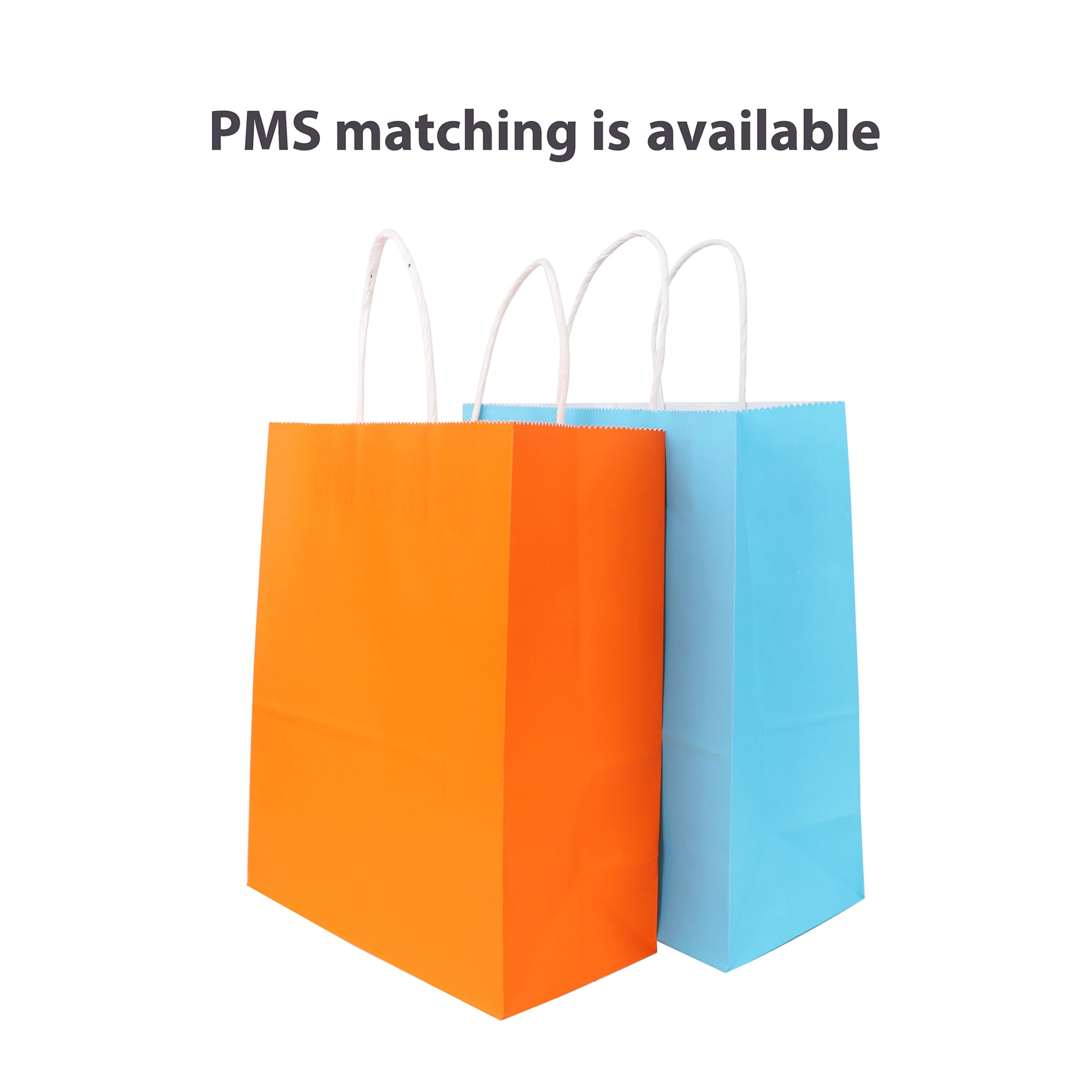 Twisted Handle Kraft Paper Bag(220x270x110mm)