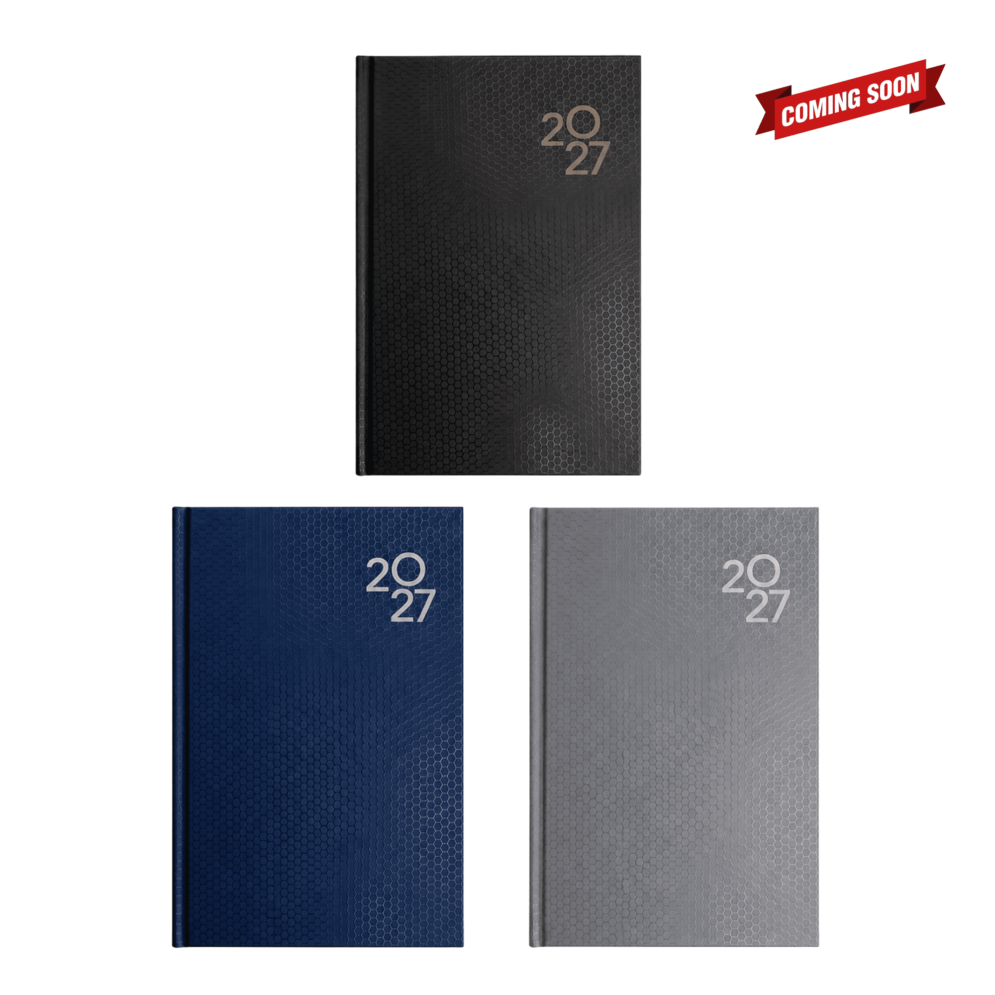 Penguin A5 Day to Day Diary