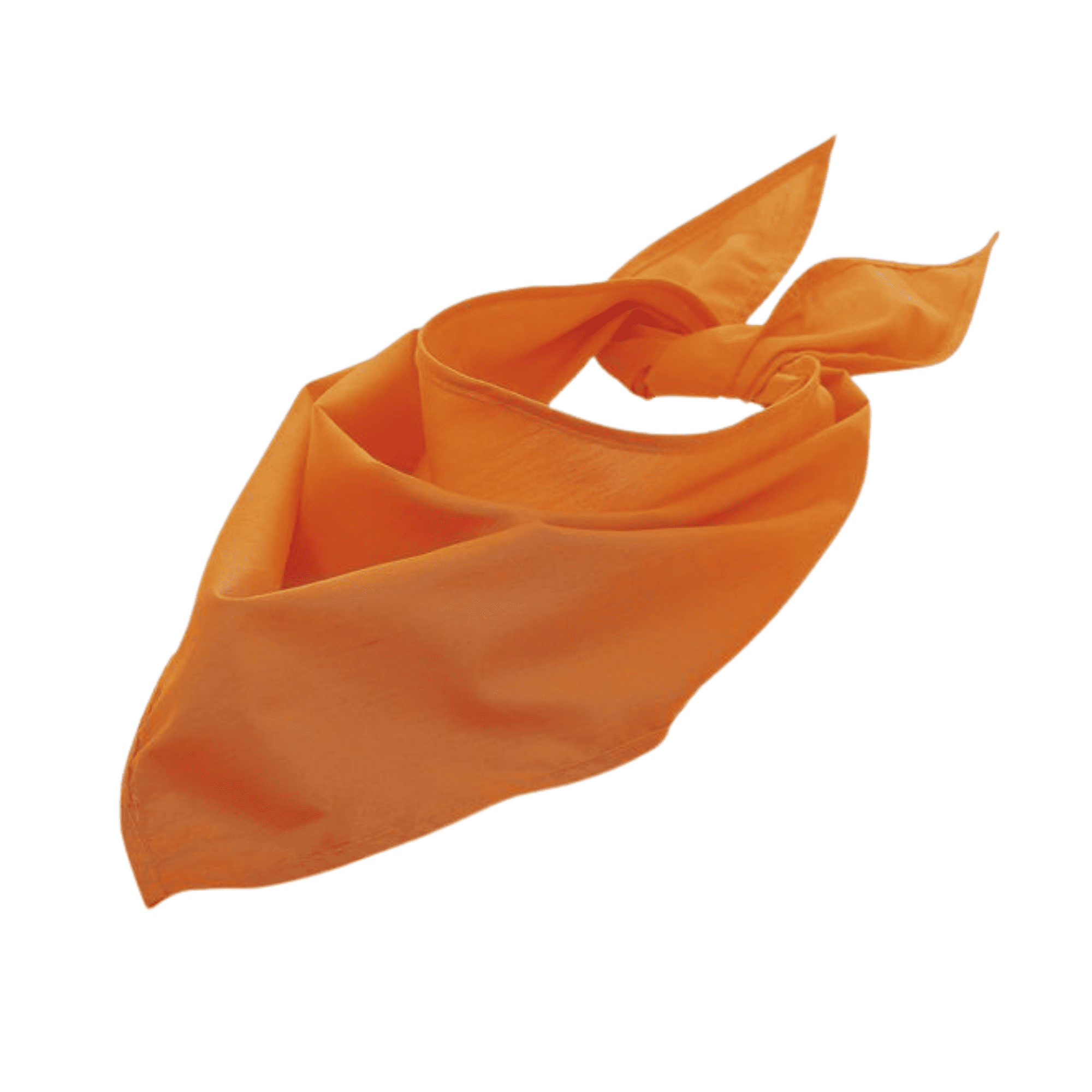 Twistal Triangular Bandana