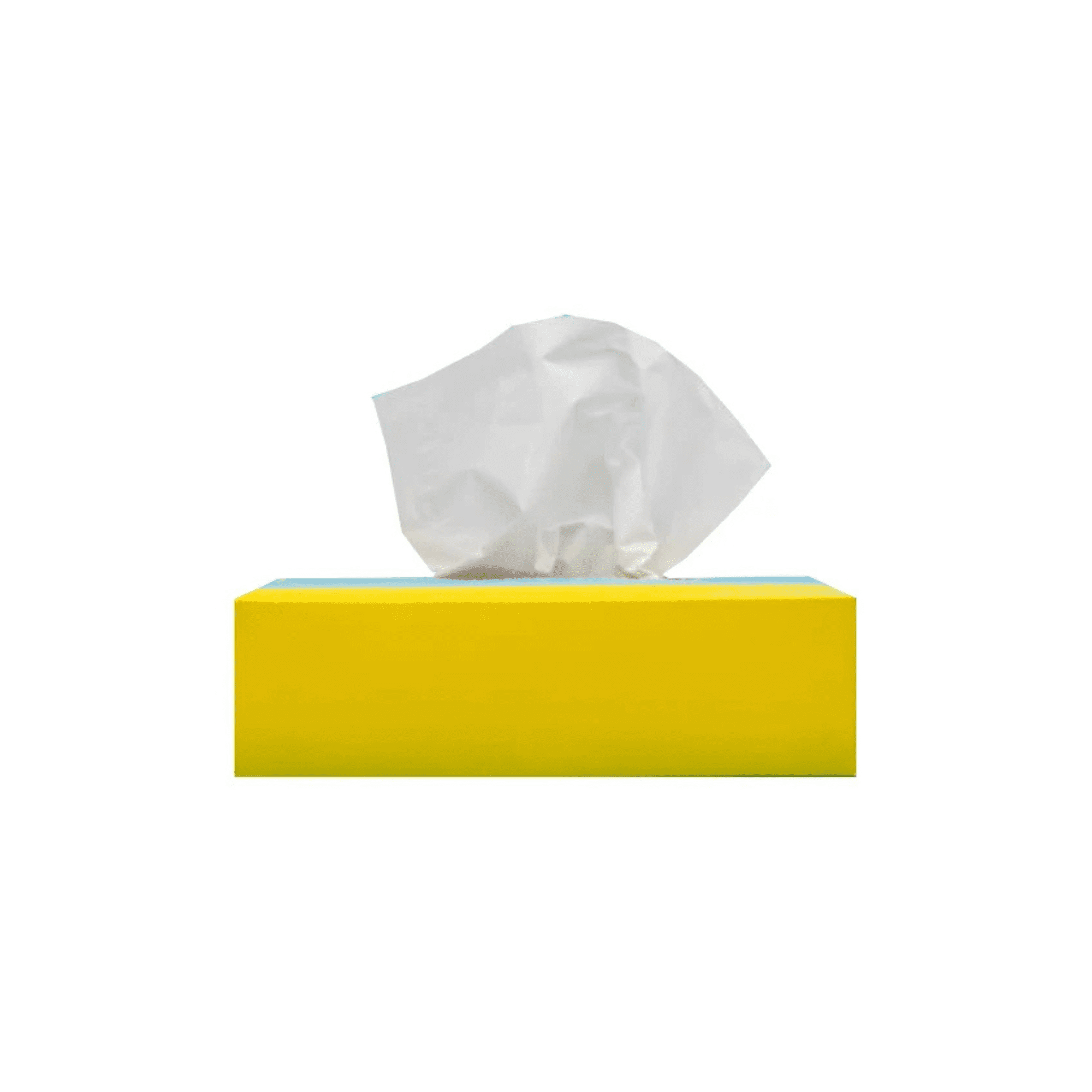Rectangular Tissue Box