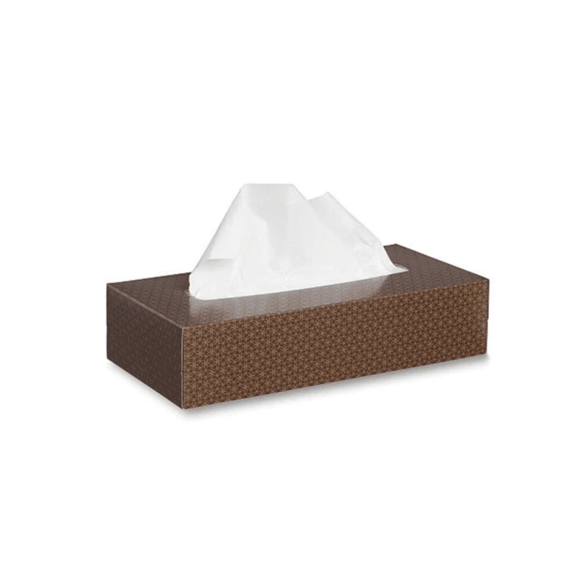Rectangular Tissue Box