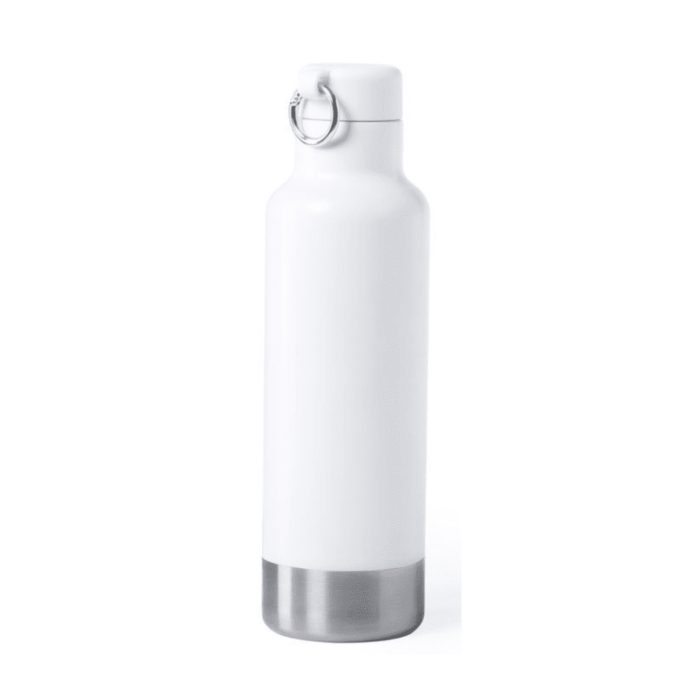Rolland single wall stainless steel drink bottle