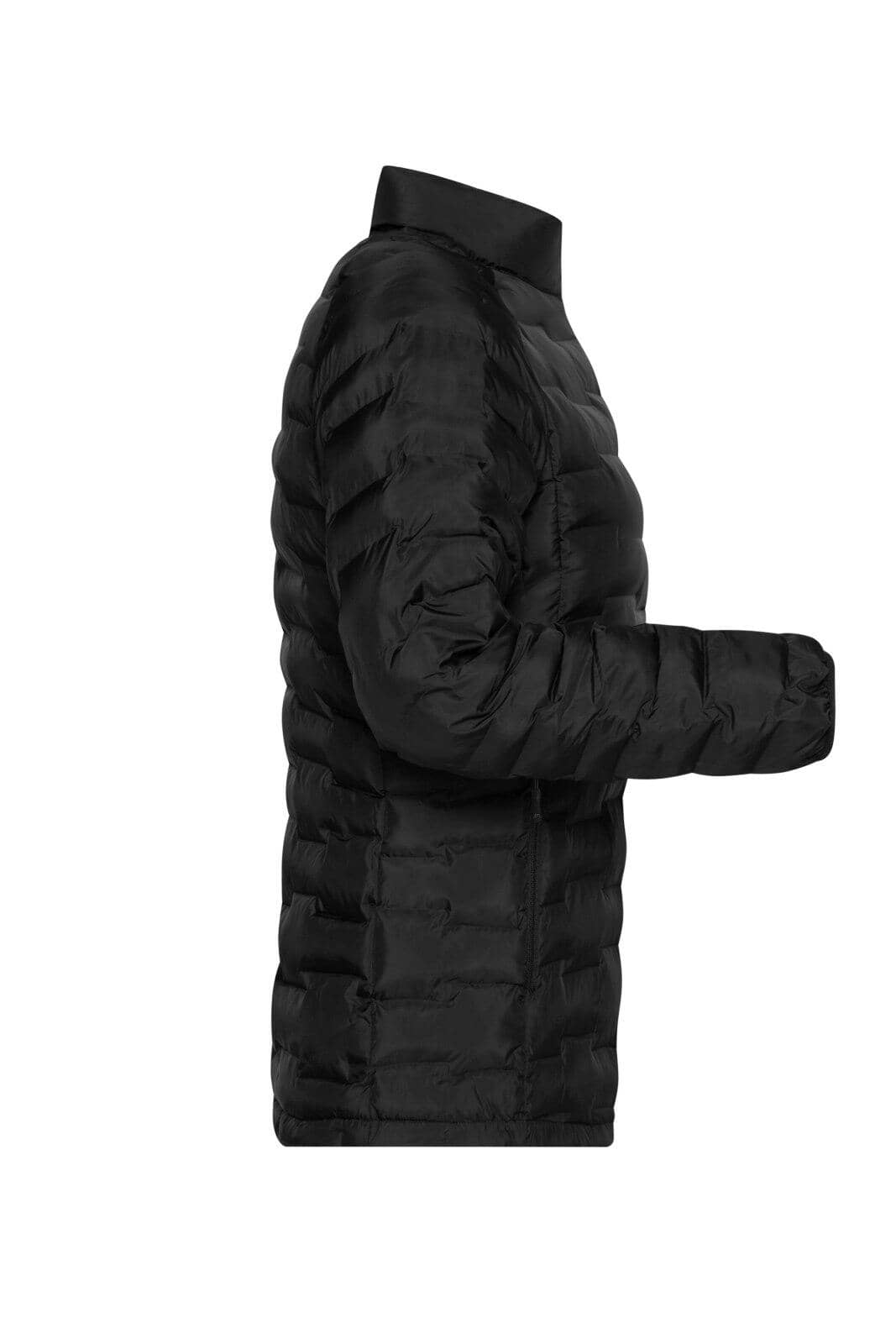 Ladies Modern Padded Jacket
