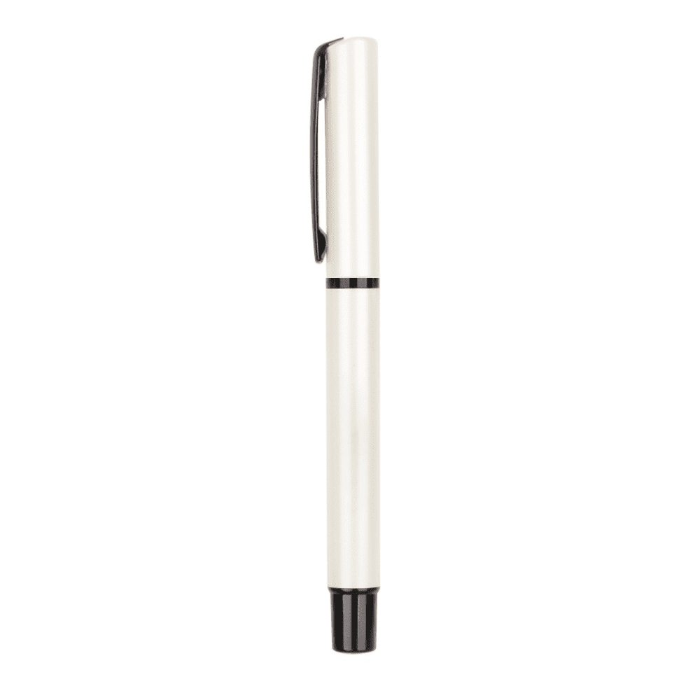 Avalanche plastic pen