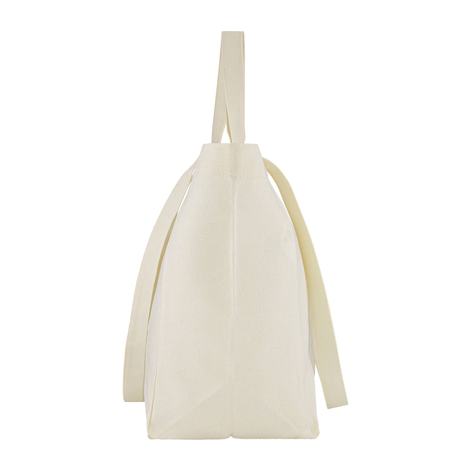 Splendid Canvas Bag