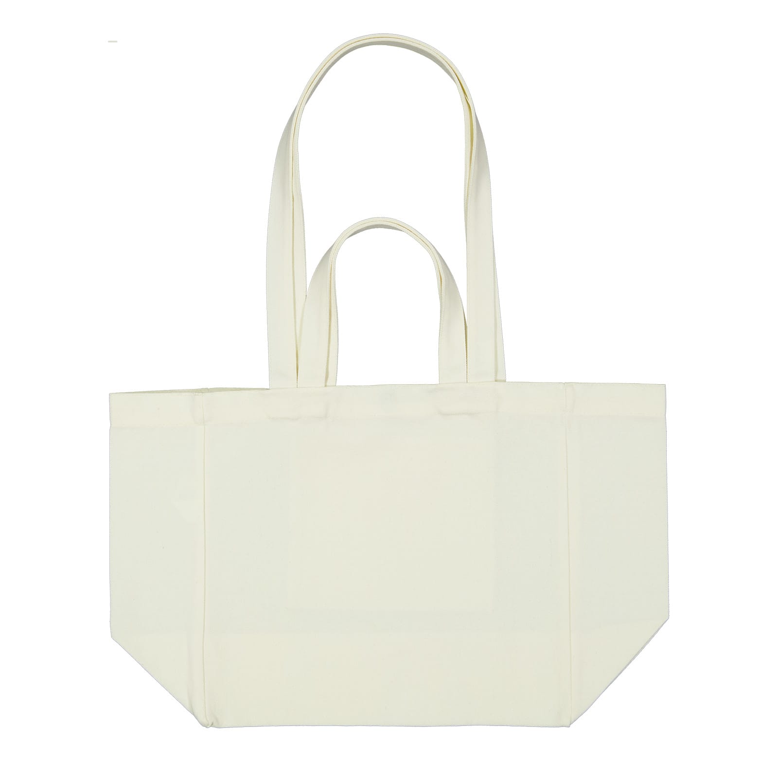 Splendid Canvas Bag