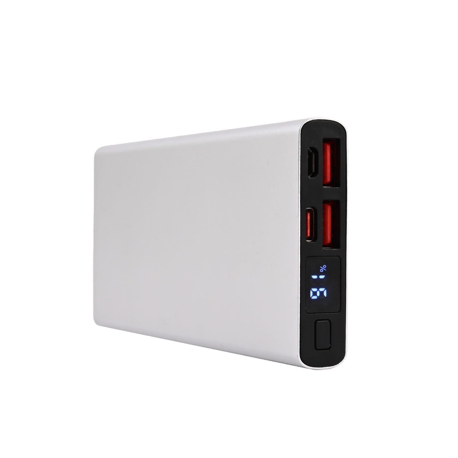 Leopard Power Bank