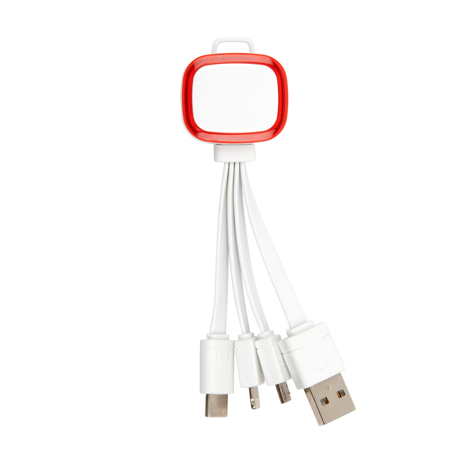 Family Light Up  3 in 1 Cable