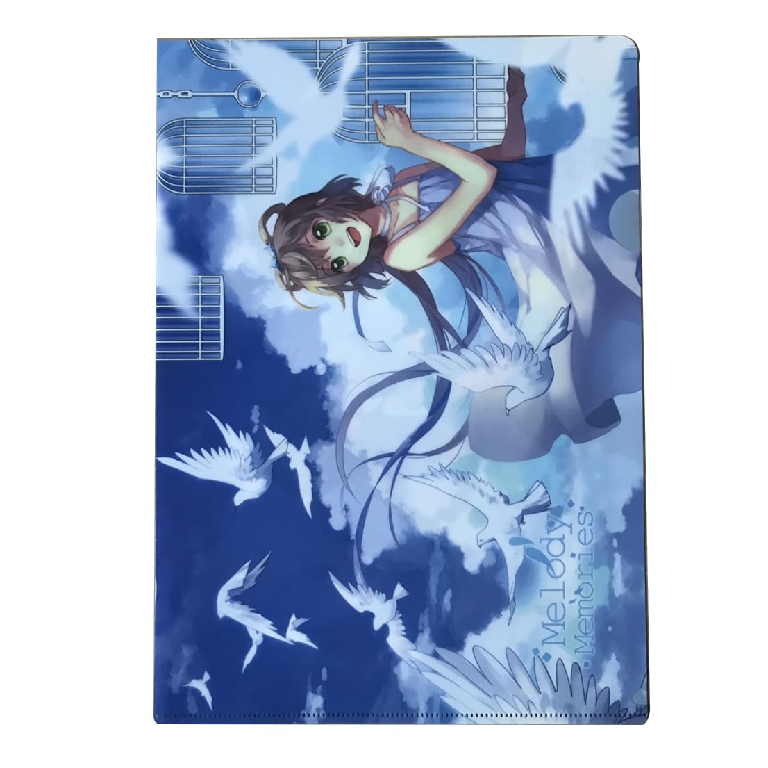 Plastic Pocket Folder