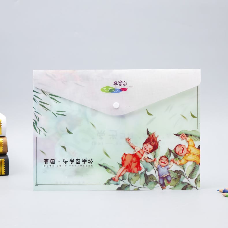 Letter-Size Full Color Printed Document Envelope